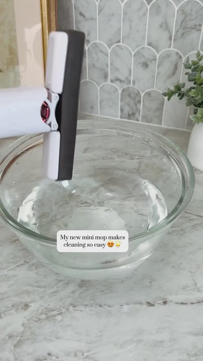 Portable Mini Mop Tools